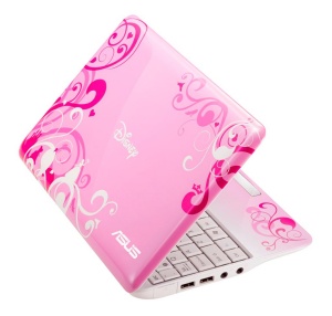 disneynetpalprincesspink-large