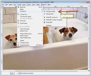 GIMP - Flip Horizontally GIMP - Flip Horizontally