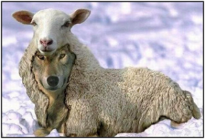 Wolf Lamb Facing Left Wolf Lamb Facing Left