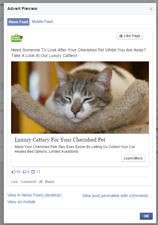 Facebook Visual Example of Ad