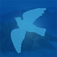 1 bird