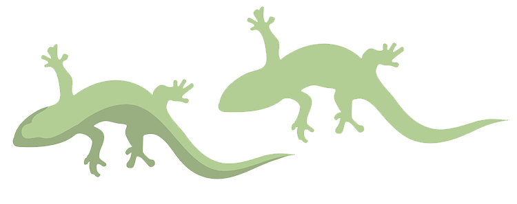 geckos-750