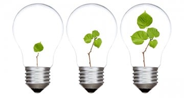 Three light bulbs with green plants inside. Isolated on white background