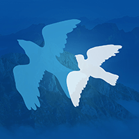 2 birds