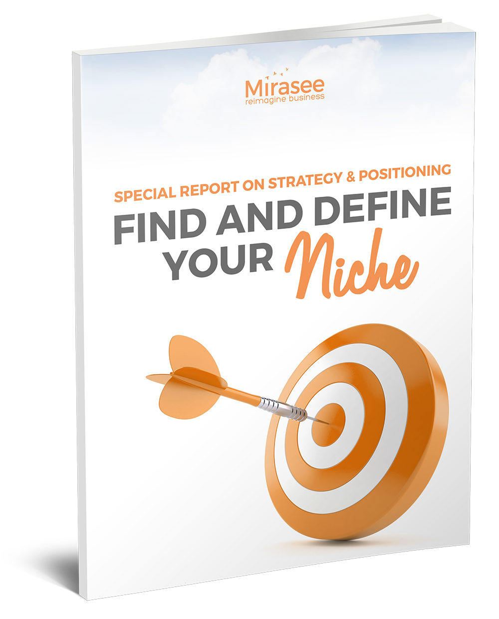 15 Winning Niche Market Examples (Updated for 2021) - Mirasee