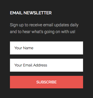 email opt in form