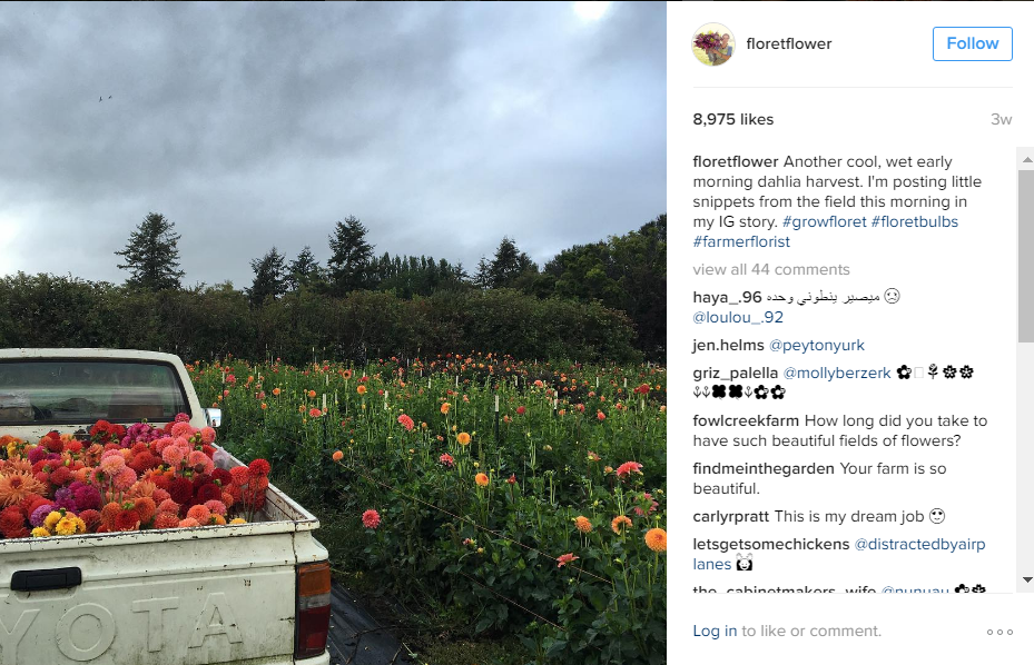 Twitter page of floretflower with photo of pickup truck and flowers