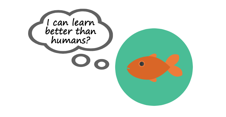 Human attention span shorter than goldfish