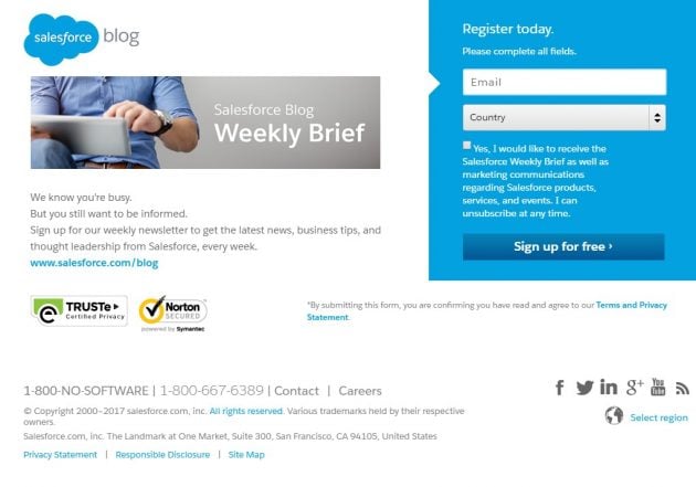 Salesforce blog lead magnet